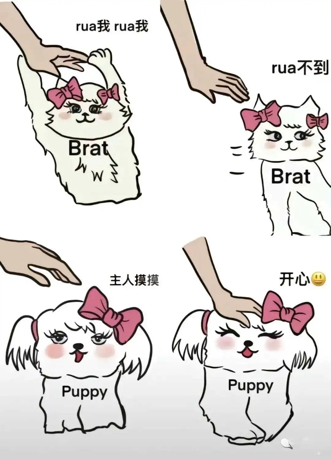 【西檬之家】新人必读：BDSM字母圈入门指南