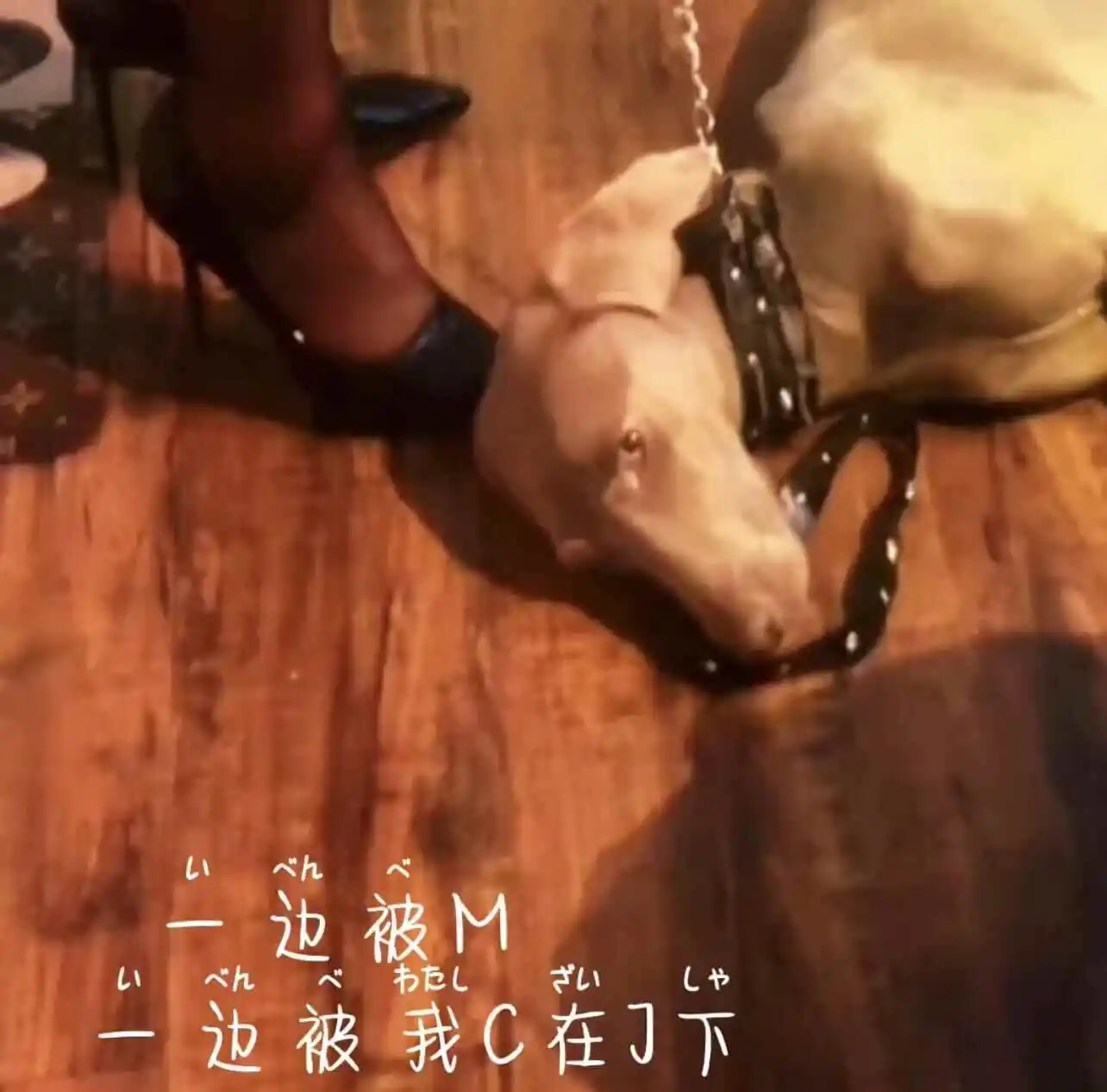 西檬之家-BDSM是什么？字母圈新人入圈指南