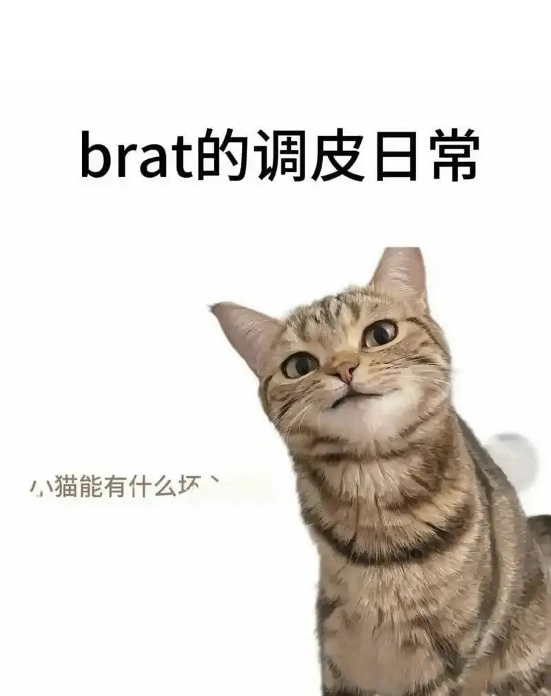 西檬之家-新人必读：从零了解字母圈的BDSM术语与SSC精神